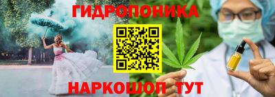 индика Братск