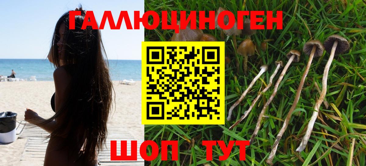 Псилоцибиновые грибы прущие грибы Кумертау