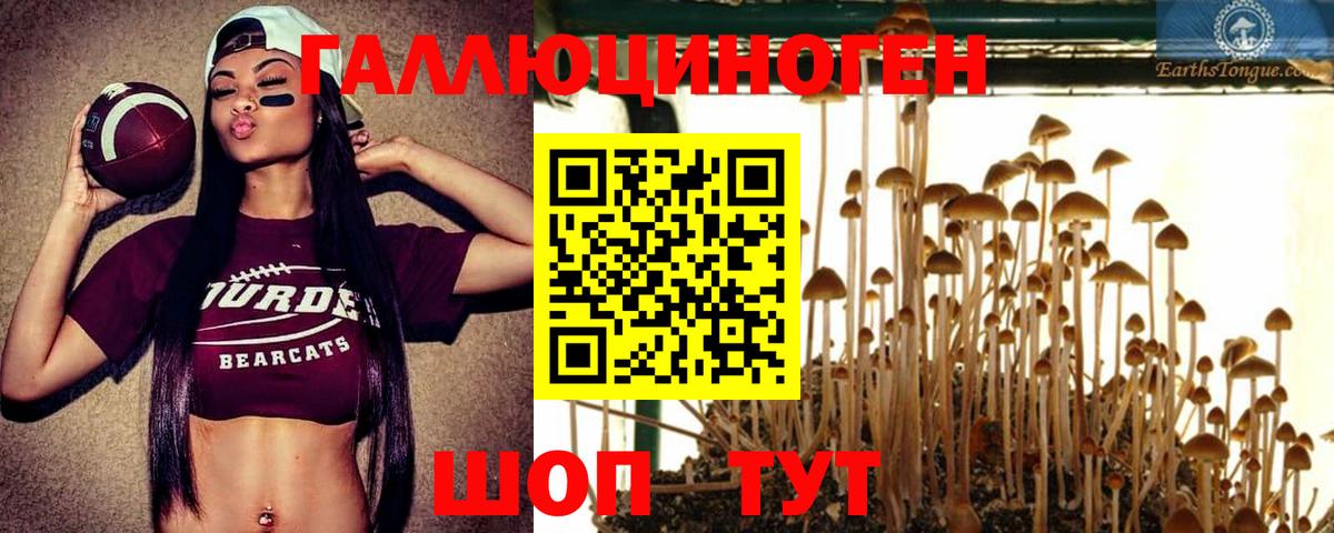 Кумертау  Псилоцибиновые грибы мицелий  Вход с VPN 